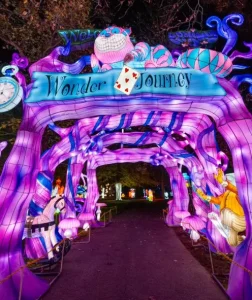 Outdoor Christmas Lights Animal Festival Lantern DisplaysLarge Led Lighting Outdoor 3D Theme Lantern Decoration