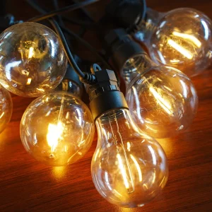 Outdoor Edison String Lights LED Patio Lights with Globe Bulbs Waterproof IP65 for Outside Garden Backyard 2700K Warm White