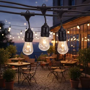 Outdoor IP44 Weatherproof Commercial Flexible Warm White LED Festoon Light String for Christmas Holiday Patio Parties