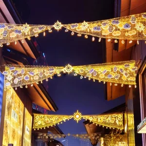 Outdoor LED Street Christmas Lights for Halloween and Wedding Decorations IP65 Rated CE RoHS Approved Multi Color