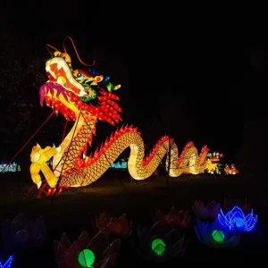 Outdoor Landscape Props Chinese Animal Dragon Silk Lantern Festival Decorations with Led Lights for Sale