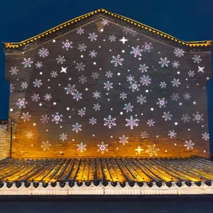 Outdoor Waterproof Christmas Holiday Landscape Decorative Lighting Snowflake LED Snowfall Projector Lamp Gobo Projector Lights
