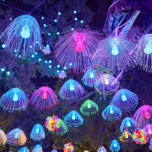Outdoor Waterproof IP65 Street Decoration Colorful Fiber Optic Jellyfish Lamp
