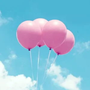 Party Decoration 12 inch 2.5g Pink Balloons