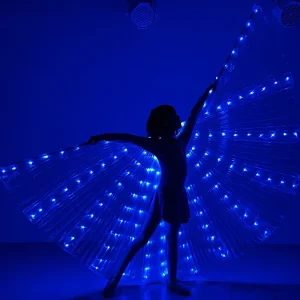 Performance Clothing Carnival Halloween & Christmas LED Isis Wings Glow Light up Belly Dance Costumes for Party