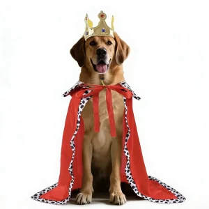 Pet Dog Transformation King Cloak & Crown Halloween Costume Spandex Polka Dot Funny Holiday Birthday Party Decoration