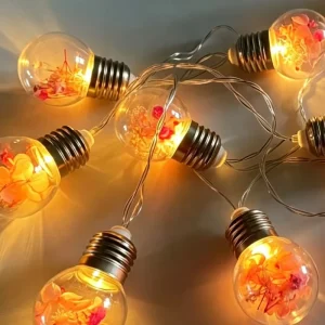 Plastic Bulbs Inside With Dry Flower Cozy Decorations Festive Scene Ambiance Setup