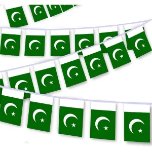Polyester Pakistan Bunting 5.5*8 Inch String Flag National Banner of Pakistani for Outdoor Indoor Decoration