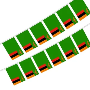 Polyester Zambia String Banner Flag of Zambian for World National Country Decor