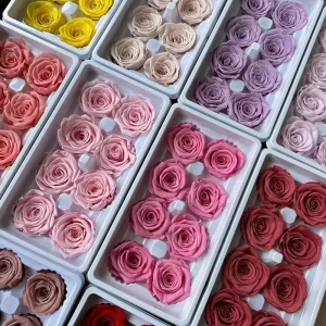 Premium Natural 4 5cm Preserved Roses Head Eternal Flowers for Valentine’s Day Home Decor