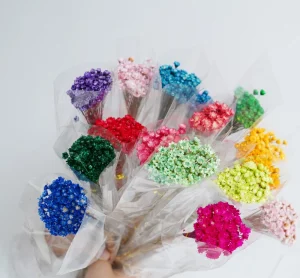 Preserved Brazilian Star Flower Home Party Festival Decorations
