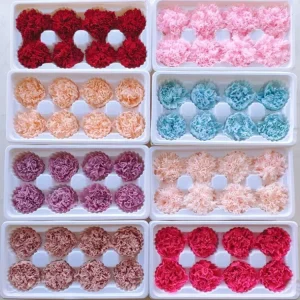 Preserved Carnation for Mother’s Day & Valentine’s Day & Thanksgiving Gift Long Lasting 3-5 Years Eternal Flowers Decoration