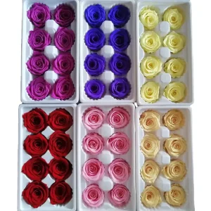 Preserved Dried Roses for Valentine’s Day Decor Long Lasting Wedding Party Flowers