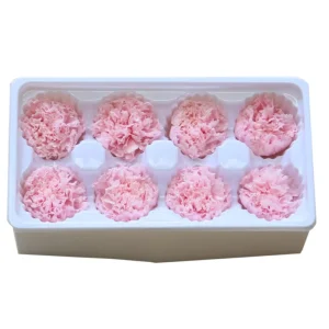 Preserved Flower A Grade 4-5cm Preserve Carnation 8 Pcs for Mother’s Day Gifts Box