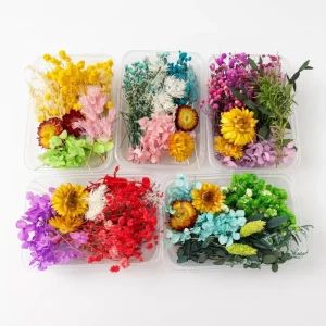 Preserved Flower Material Box Mixed Mini Dried Flowers Epoxy Resin Nail Art Jewelry DIY Craft Bulk Boxed Supply Valentine’s Day