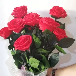 Preserved Flower Valentine’s Day Mother’s Day Gift Luxury Everlasting Single Stem Preserved Rose Wedding Birthday