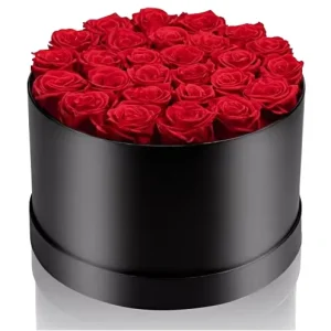 Preserved Red Roses Black Hug Bucket Box Eternal Flower Gift for Valentine’s Day Home Decoration