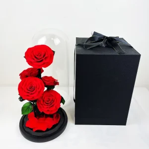 Preserved Rose 5 Roses Flowers in Glass Cover for Valentine’s Day Christmas Gift