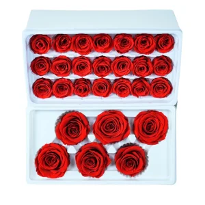 Preserved Rose Eternal Flower for Wedding and Gift, Factory Direct