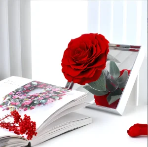Preserved Rose Flower Box for Valentine s Day Mother s Day Gift Luxury Eternal Rose in Clear Box Ideal Wedding Favor for Guests