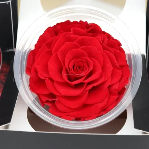 Preserved Rose Square Box Decorative Flowers Long Lasting 3 5 Years for Back to School & Graduation Preserved Rose Bouquet
