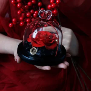 Preserved Rose in Glass Dome with LED Light
