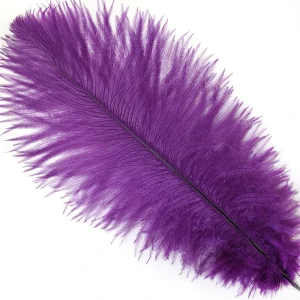 Purple 2pcs Polobag Ostrich Feathers for Party Carnival Home Wedding Centerpiece Xmas Vase Holiday Decor DIY Craft Floral