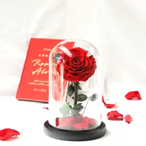 Real Preserved Rose in Glass Dome for Wedding, Valentine’s Day and Home Table Decor