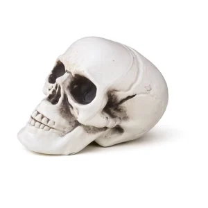 Realistic Halloween Skull Prop PVC Skeleton Head Horror Decoration for Haunted House Party Gothic Festival Home Decor Reusable