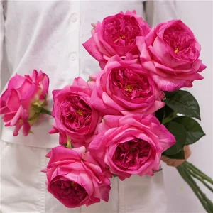 Realistic Moisture Touch Pink Artificial English Rose David Austin Style Flowers for Wedding Table Home Decor