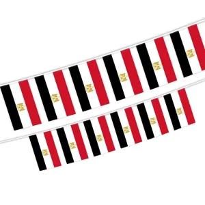 Rectangle Egypt 5.5*8.2 Inch Bunting Flag String of Egyptian Polyester Banner for National Events Decoration