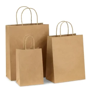 Recyclable Brown Paper Bags for Restaurants and Cafés