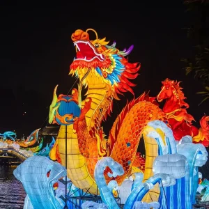 Red Dragon Lantern Outdoor LED Decoration for Lunar New Year CE Cer