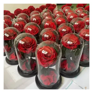 Rosas Preserved Everlasting Enchanted Eternity Eternal Rose Preserved Flower Forever Roses in Glass Dome LED