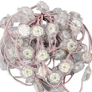 SMD2835 30mm Outdoor Lighting 12V RGB RGBW Led Pixel Point Light