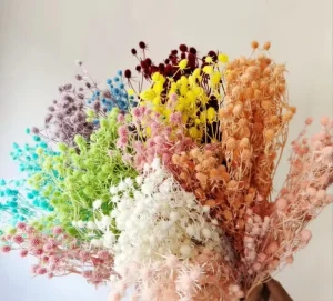 Small Eryngium Dried Flowers Square Shape 60-70cm Valentine’s Day Fruit Lover Home Decoration