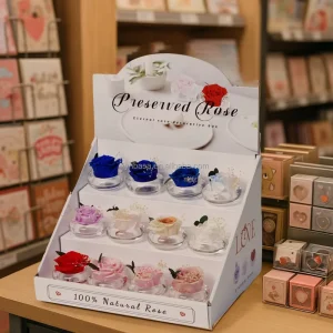 Small Floral Decor Preserved Rose in Glass Retail Display Impulse Gifts Set for Valentines Mothers Days