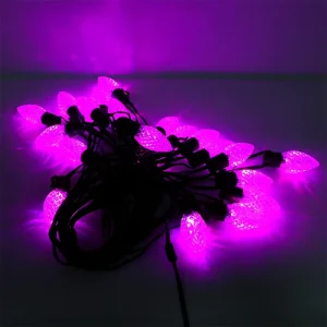 Smart App Controlled Color Changing Festoon Lights for Wedding & Party