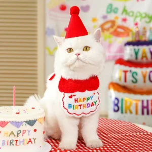 Soft Plush Cotton Modern Fashion Pet Halloween Christmas Bandana Hat Set for Cats Dogs Adjustable Cute Cut
