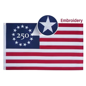 Stock 210D Oxford USA Embroidered Flag Outdoor 3x5ft Custom Personalized Boricua Bandera Parade National Day Events