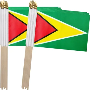 Stock New Guyana Stick Mini Small Wood Hand Held Double Printed Flag for Sport Parade Party Festival Decorations