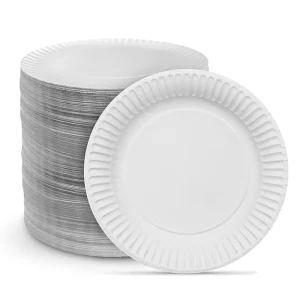 Sugarcane Bagasse Eco Friendly Disposable Food Contact Safe Party Supplies White/Natural Butterfly/Cake Paper Plates Frost