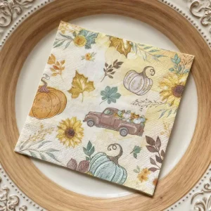 Thanksgiving Table Decoration Autumn Napkins Element 2 Ply Serviettes Tissue 16 Pcs Pumpkin Design Paper Napkins