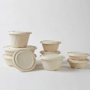 Trade Festival Disposable Tableware Bagasse Food Container Sugarcane Bowl 32oz