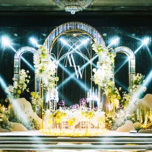 Trending Wedding Decor Product Gold Wedding Party Decoration Wedding Backdrop Arch