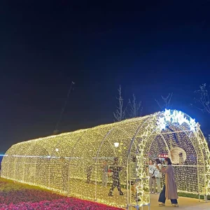 Tunnel Light Outdoor Festival Arches IP65 Waterproof LED Motif Lights for Christmas Holiday Decorations