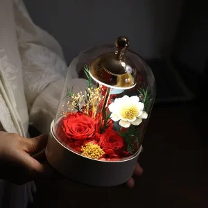 USB Rechargeable Preserved Flower Lamp LED Glass Dome Table Lamp Eternal Rose Gift for Mother’s Day Birthday & Christmas