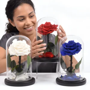 Valentine Birthday Christmas Halloween Graduation Eternal Flowers OEM Everlasting Preserved Flower Glass Dome Gift Box