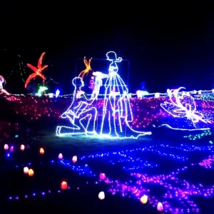 Valentine’s Day LED Motif Lights Outdoor IP65 Waterproof Multi Voltage Holiday Decoration