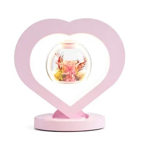 Valentine’s & Easter Magnetic LED Levitating Table Lamp with Preserved Flowers Gift